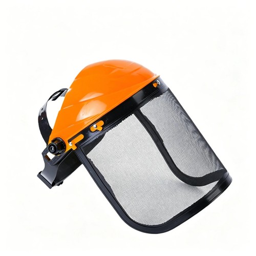 Face mask shield - face,